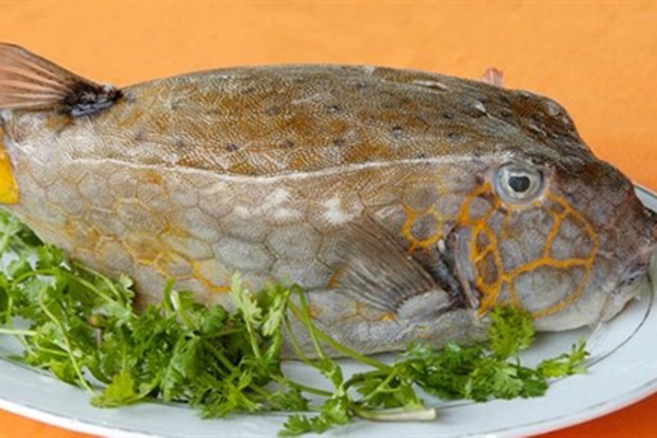 Món cá Bò Hòm
