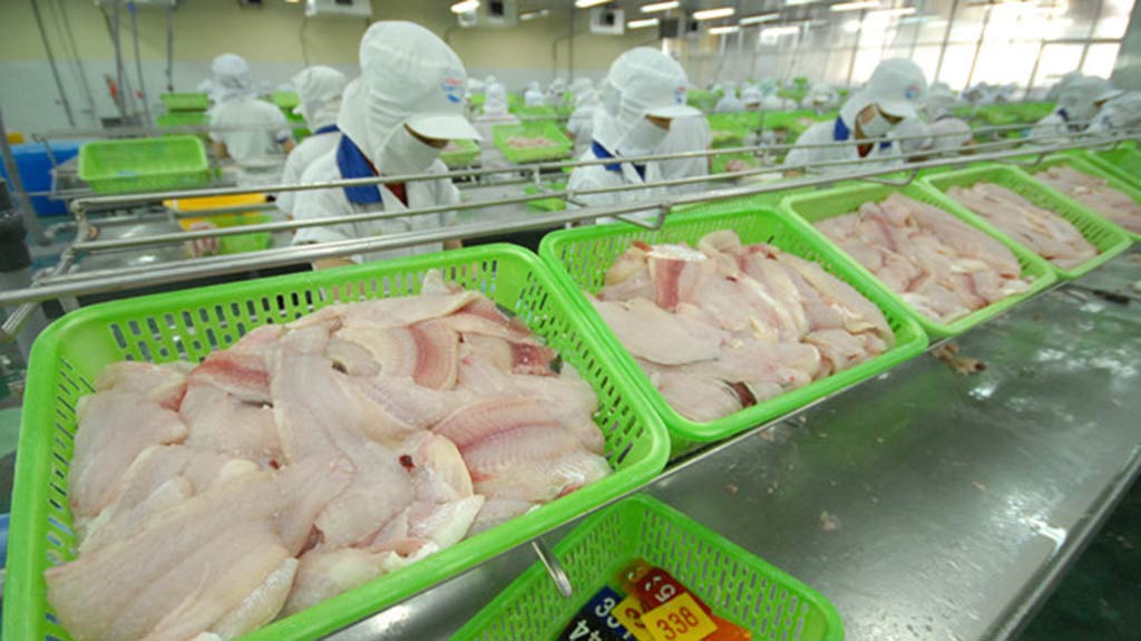 Trung Quốc siết chặt vì dịch bệnh, ảnh hưởng tới xuất khẩu thủy sản Việt